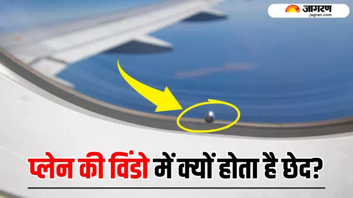 हवाई जहाज की खिड़कियों में क्यों होता है छेद? (Image Source: Freepik)