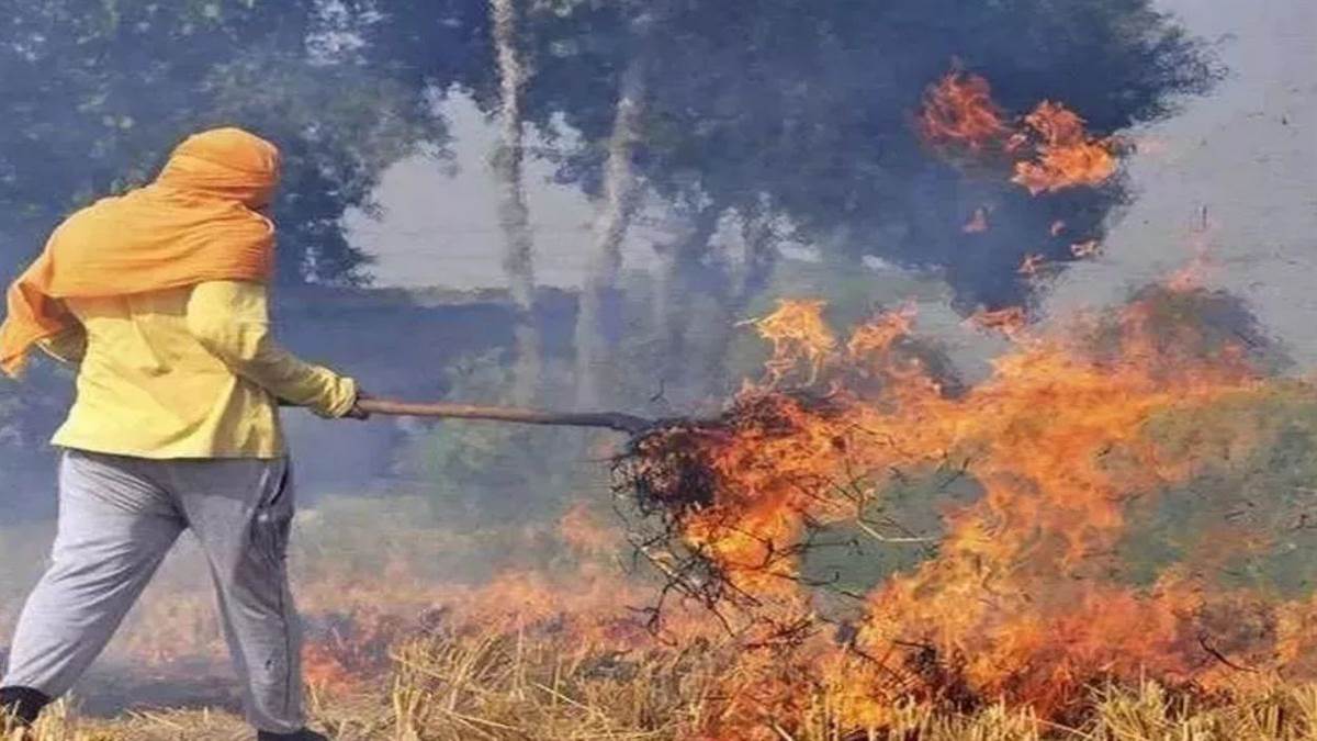 https://www.jagranimages.com/images/newimg/19092025/19_09_2025-stubble_burning_24052877.jpg