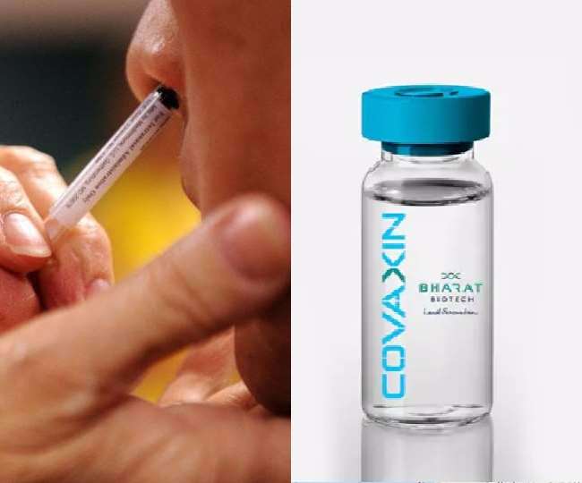 India Coronavirus Vaccine: First Intranasal Covid19 vaccine Trial of Serum  Institute Bharat Biotech to begin soon Health Minister
