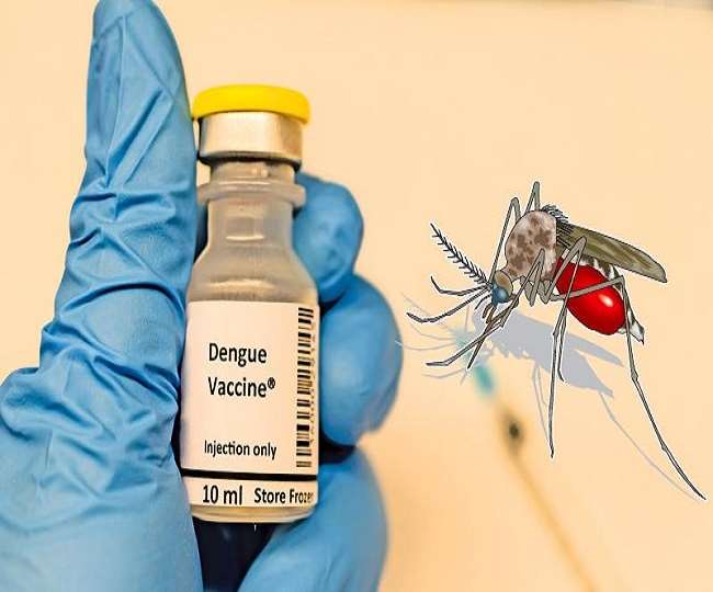 Dengue Vaccine कानपुर में डेंगू के वार से संबंधित प्रतीकात्मक फोटो।