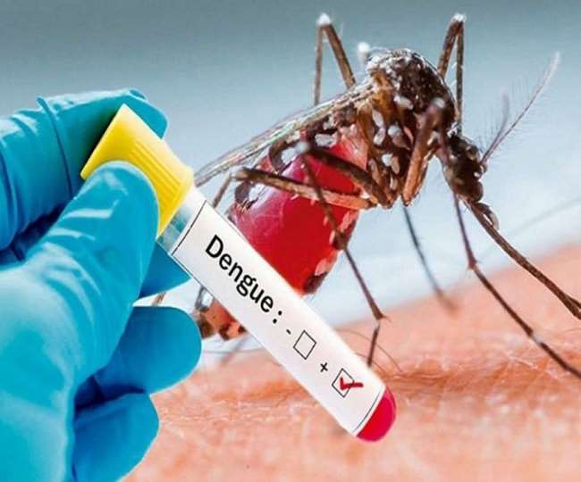 जिले में बुखार व डेंगू के केस लगातार आ रहे हैं।