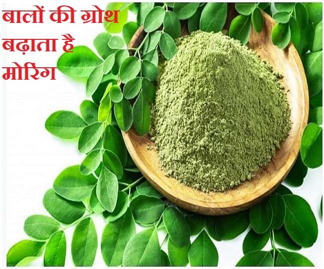 amazing hair benefits of moringa know how to use it to promote hair growth