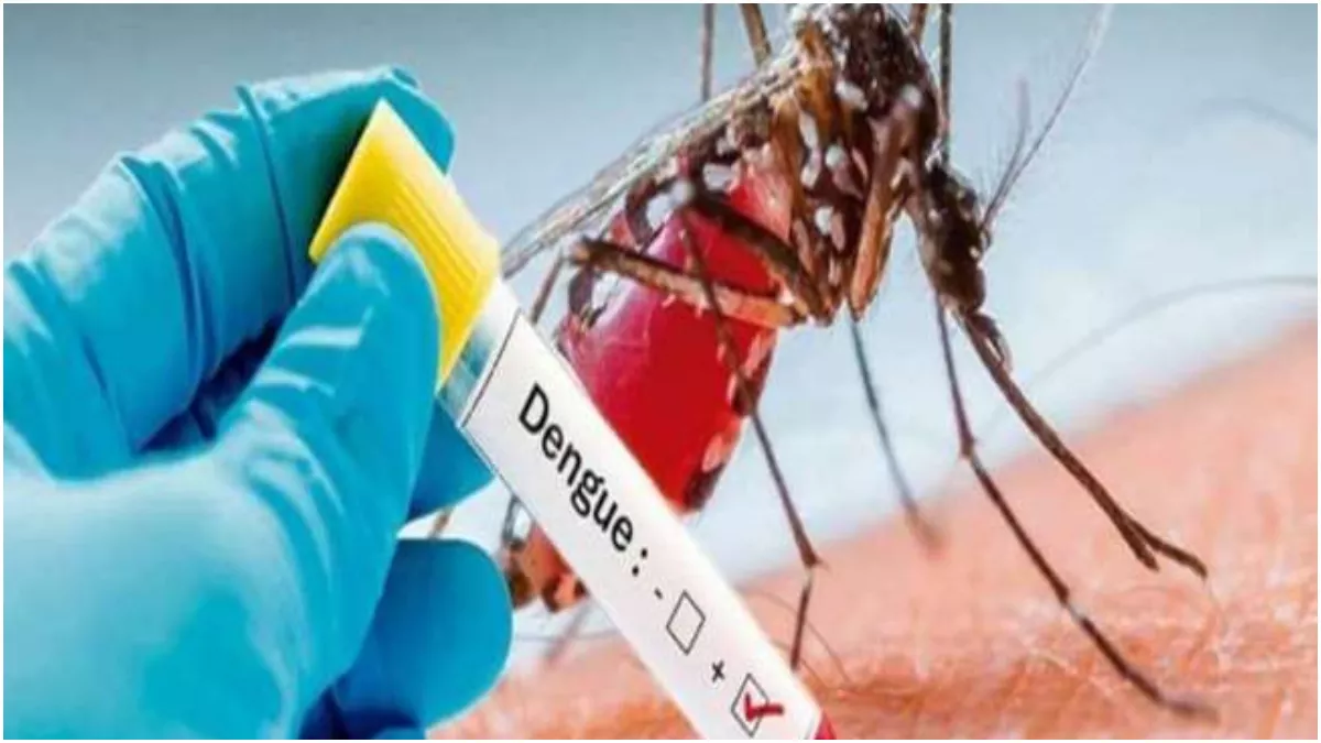Bihar Dengue Cases: बिहार में एक दिन में मिले डेंगू के 538 केस, पटना का हाल सबसे बुरा; केन्द्र से आई टीम
