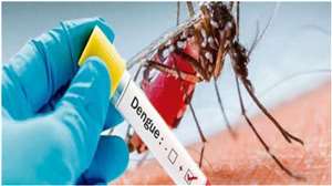 पटना में लगातार बढ़ रहे हैं डेंगू के केस। सांकेतिक तस्वीर