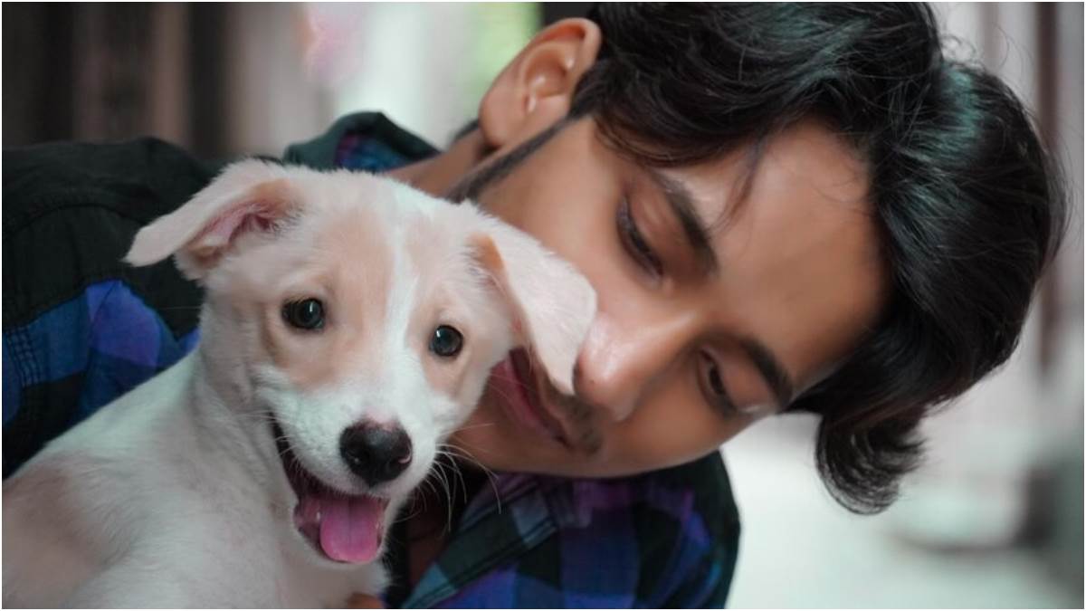 Pet Care During Diwali दिवाली के दौरान पालतू और आवारा जानवरों का ऐसे रखें ख्याल Diwali 2022