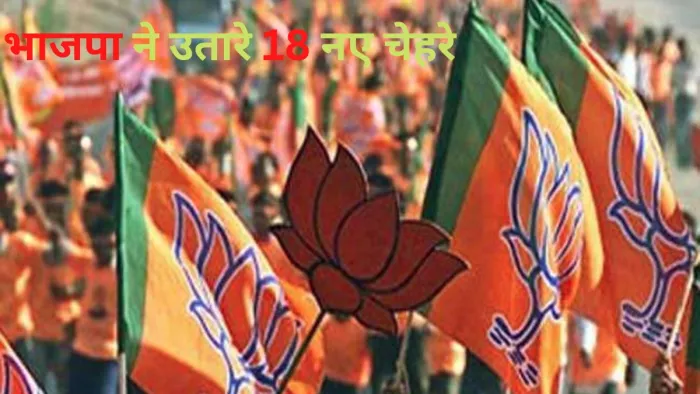 हिमाचल प्रदेश विधानसभा चुनाव में भाजपा ने 18 नए चेहरे उतारे हैं।