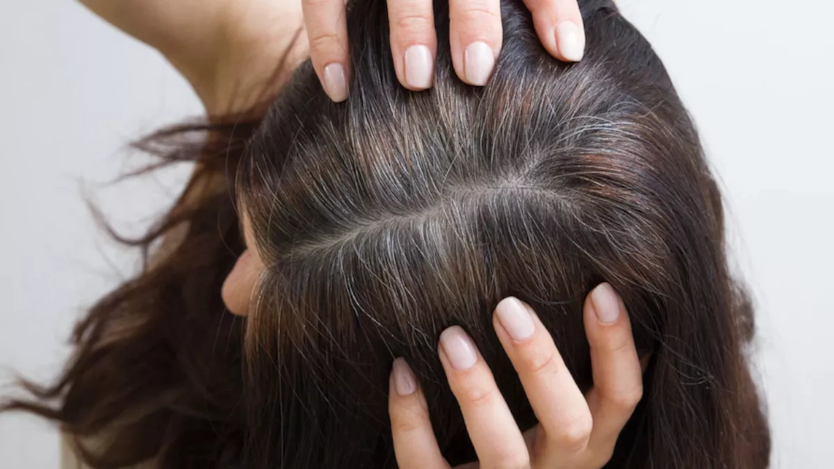 Premature Grey Hair Treatment: समय से पहले सफेद हो रहे बालों की समस्या दूर करेंगे ये नेचुरल उपाय - Premature Grey Hair Treatment effective home remedies to get rid of grey hair Premature Grey Hair Treatment: समय से पहले सफेद हो रहे बालों की समस्या दूर करेंगे ये नेचुरल उपाय - Premature Grey Hair Treatment effective home remedies to get rid of grey hair