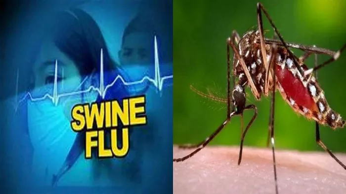 Dengue Cases in Ludhiana: शहर में माैसमी बीमारियाें का खतरा बढ़ा।