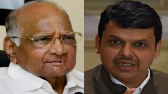 MCA चुनाव से पहले देवेंद्र फडणवीस के साथ डिनर करेंगे शरद पवार और आशीष शेलार। फाइल फोटो