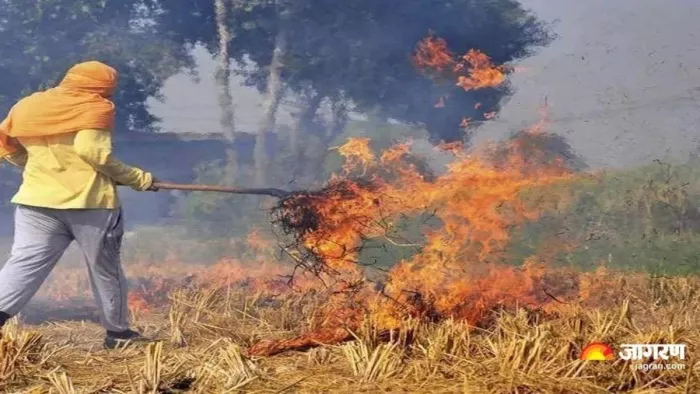 चूल्हे के धुएं को पकड़ रहा सैटेलाइट, पराली जलाने के नाम पर किसान हो रहे बदनाम