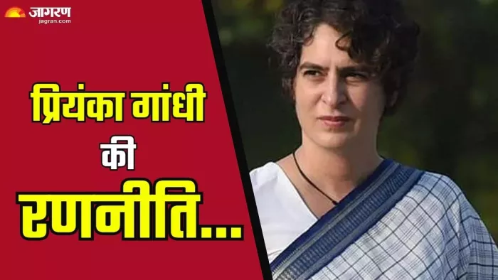 कांग्रेस महासचिव प्रियंका गांधी वाड्रा शुक्रवार को दौसा में जनसभा को संबोधित करेंगी।