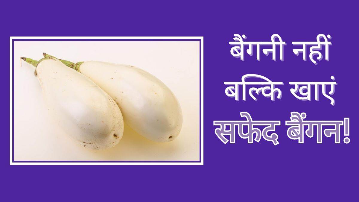 White Brinjal Benefits शरीर में जमे बैड कोलेस्ट्रॉल को कम कर सकता है