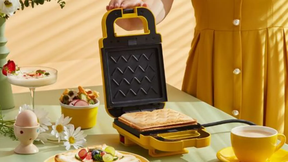 मुंह में पानी ना आ जाए तो कहना! इन Sandwich Maker से टेस्टी सैंडविच होंगी झटपट तैयार, ढेरों डिश का ले आनंद
