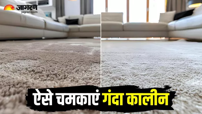 Diwali Cleaning Tips: दिवाली की सफाई में कालीन को चमकाने के 5 आसान तरीके (Image Source: Freepik)