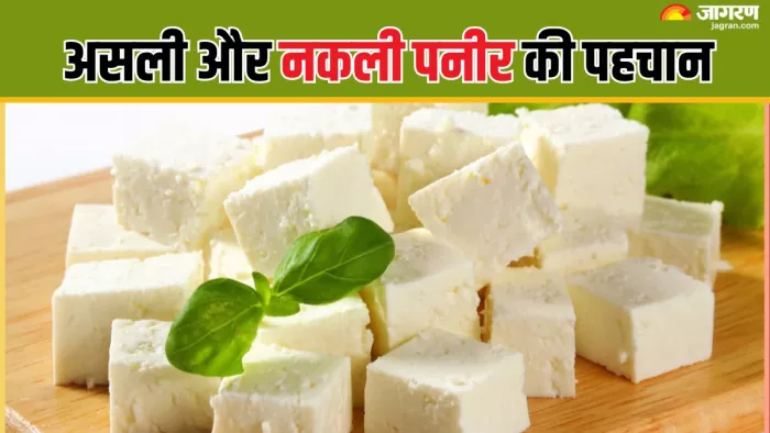 दिवाली पर बाजार में रहती है मिलावटी पनीर की भरमार, घर पर ऐसे करें असली ...