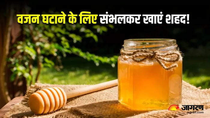 वजन घटाने के लिए कर रहे हैं शहद का सेवन, तो जान लें इससे होने वाले 5 नुकसान (Image: Freepik)
