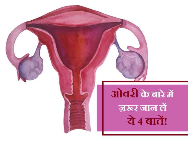 Ovary Health: ओवरी से जुड़ी ऐसी 4 बातें, जो महिलाओं को ज़रूर जाननी चाहिए! -  Ovary Health 4 Important Information About Ovary That Women Must Know