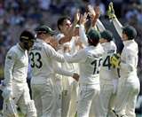 ऑस्ट्रेलिया क्रिकेट टीम के खिलाड़ी विकेट का जश्न मनाते (फाइल फोटो)