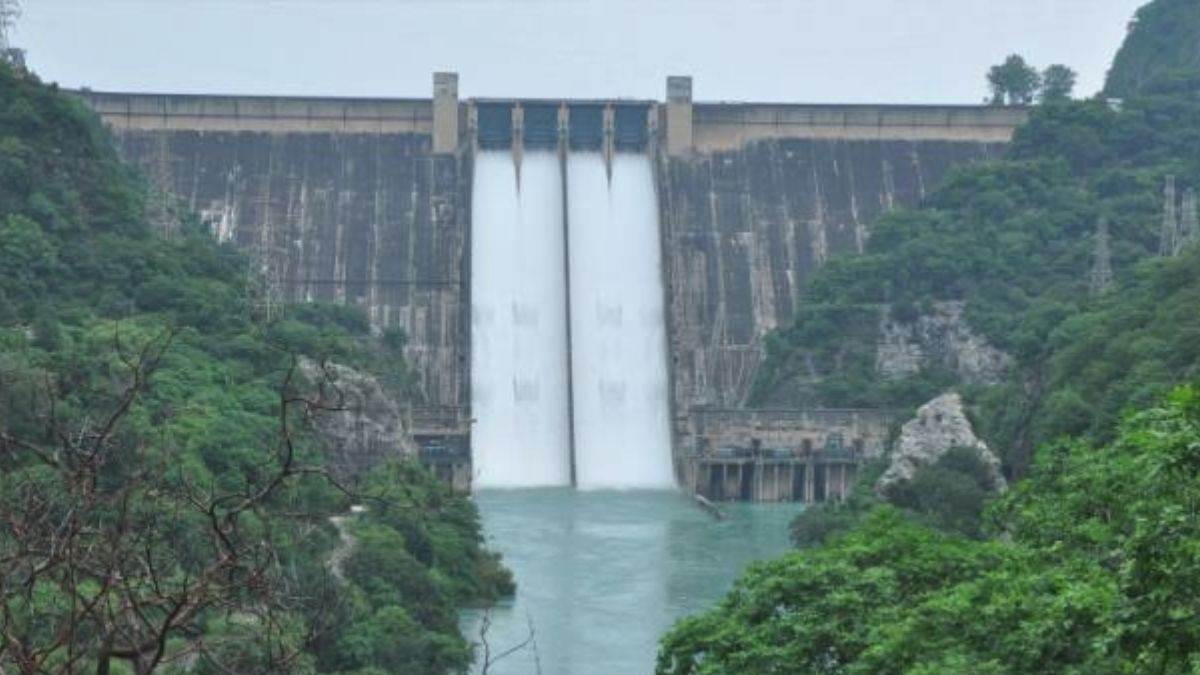 bhakra dam in danger due to silt built on himachal pradesh punjab boundary area