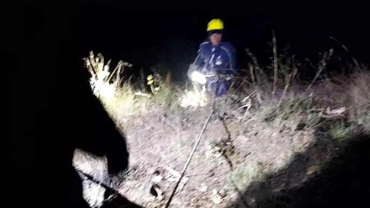Chamoli Accident: रस्सियों से खाई में उतरी रेस्‍क्‍यू टीम, इमरजेंसी लाइट के सहारे 5 शवों को सड़क तक पहुंचाया