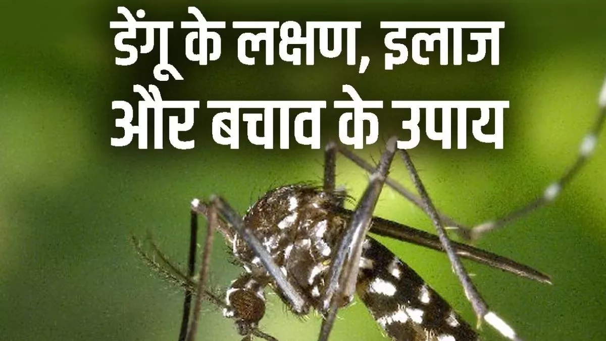 Dengue Home Remedies: डेंगू से बचाव के लिए बरतें एहतियात, इन घरेलू उपाय से मिलेगी राहत