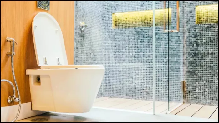 World Toilet Day 2022: US-ब्रिटेन समेत इन 8 देशों में क्या कहते हैं टॉयलेट को?