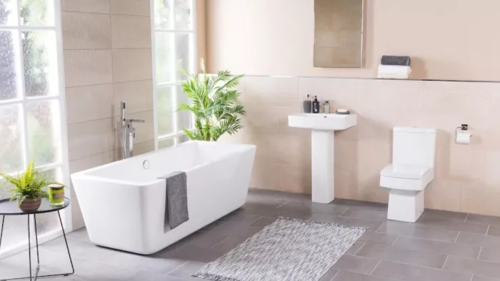 World Toilet Day 2022: गंदे टॉयलेट से हो सकती हैं ये बीमारियां