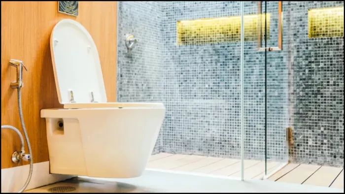 World Toilet Day 2022: आज है 'विश्व शौचालय दिवस', जानें इतिहास और महत्व