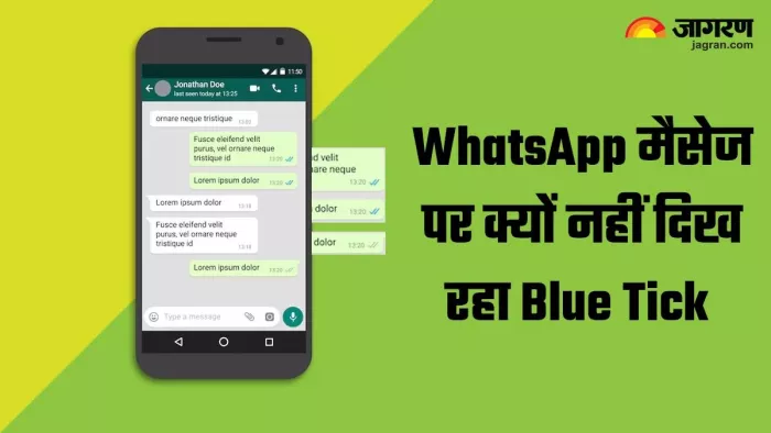 WhatsApp मैसेज पर क्यों नजर नहीं आ रहा ब्लू टिक, जानिए क्या है वजह