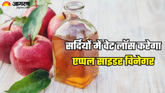 वेट लॉस के लिए इन तरीकों से एप्पल साइडर विनेगर को करें डाइट में शामिल (Picture Credit- Freepik)