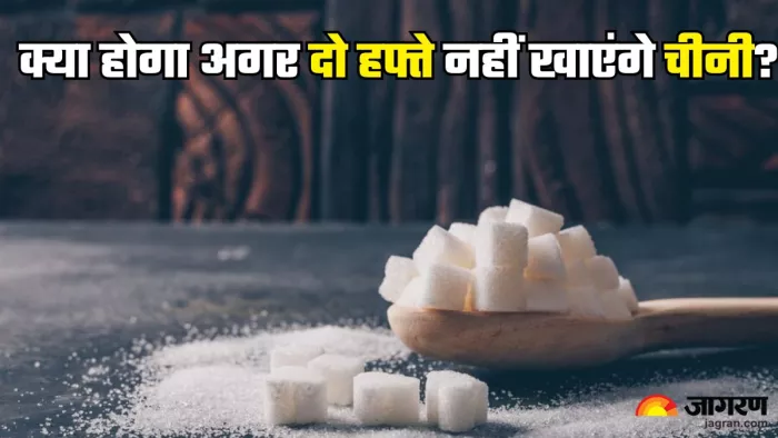 क्या होगा अगर 14 दिन नहीं खाएंगे चीनी (Picture Credit- Freepik)