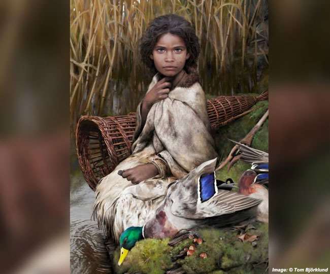 पहली बार 5700 साल पुराने च्यूइंग गम से निकला इंसान का डीएनए