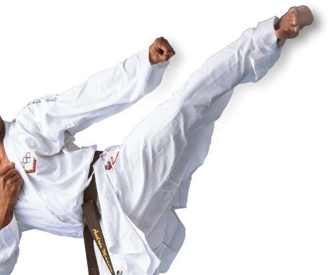 lucknow won eight gold medals in up open state senior taekwondo championship