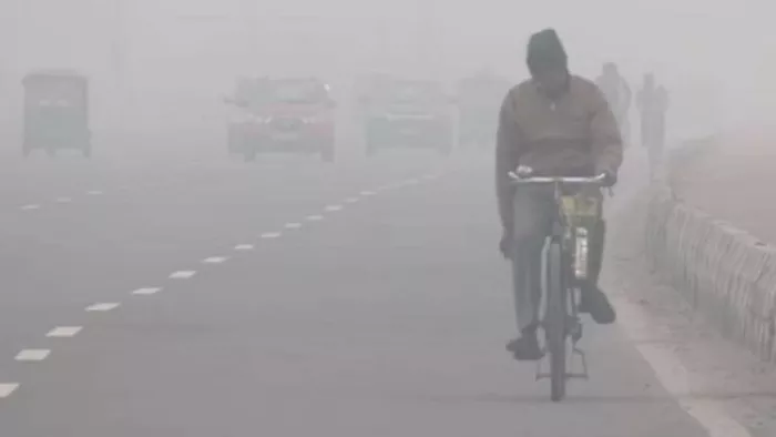मैदानी इलाकों में बढ़ी ठंड, दिखा कोहरे का असर