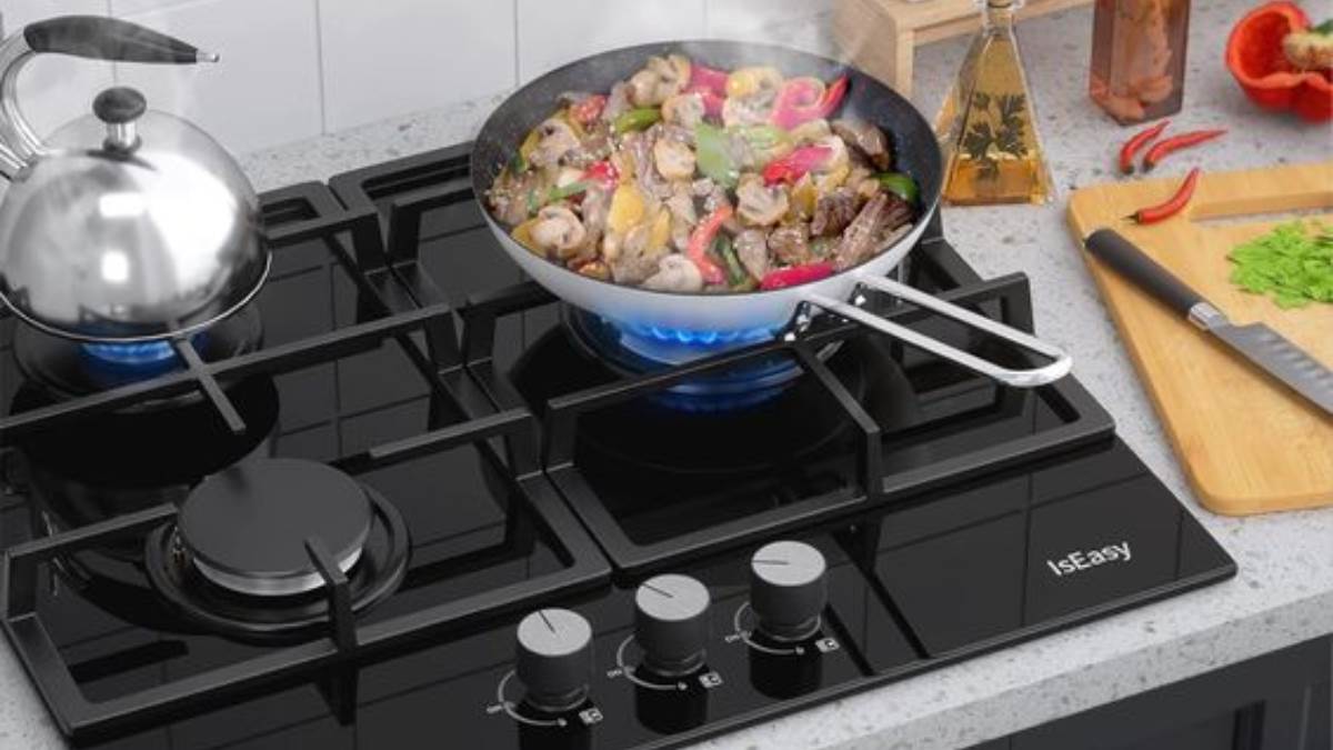 कारीगरों से हाथ मिलाने को आतुर महिलाएं, Automatic Gas Stove लाकर खत्म की किचन की झंझट, देखें ऑटो इग्निशन फीचर