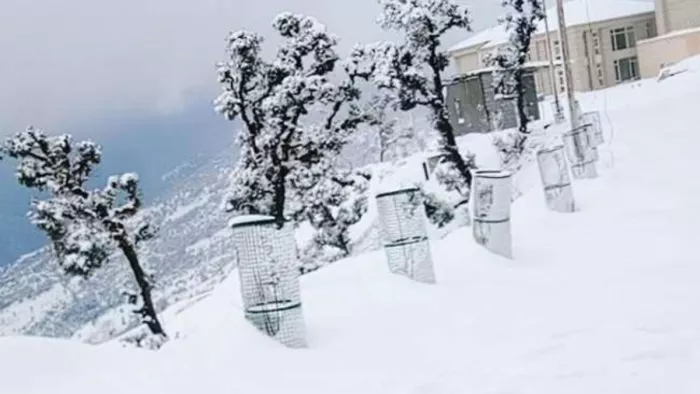 पहाड़ों पर बर्फबारी तो मैदानी इलाकों में होगी बारिश, 22 दिसंबर से फिर बदलेगा मौसम