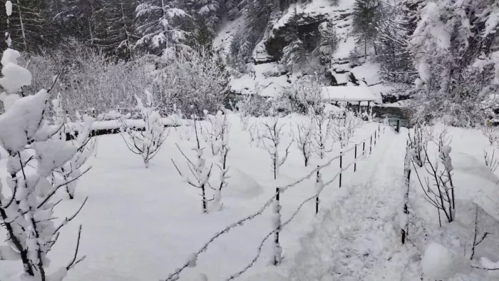 कश्मीर के दूरदराज इलाकों में विशेषकर उत्तरी कश्मीर में पर्यटकों की संख्या बढ़ी