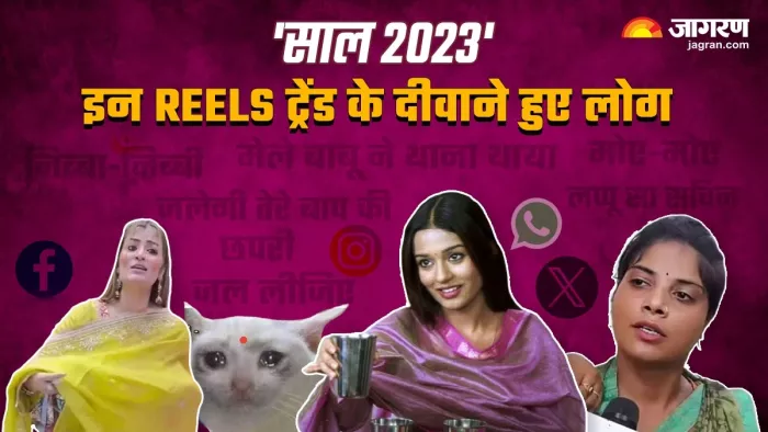 ये डायलॉग मीम बने सोशल मीडिया पर सेन्सैशन (जागरण ग्राफिक्स)