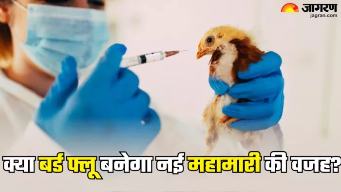 क्या नई महामारी की वजह बनेगा बर्ड फ्लू (Picture Credit- Freepik)