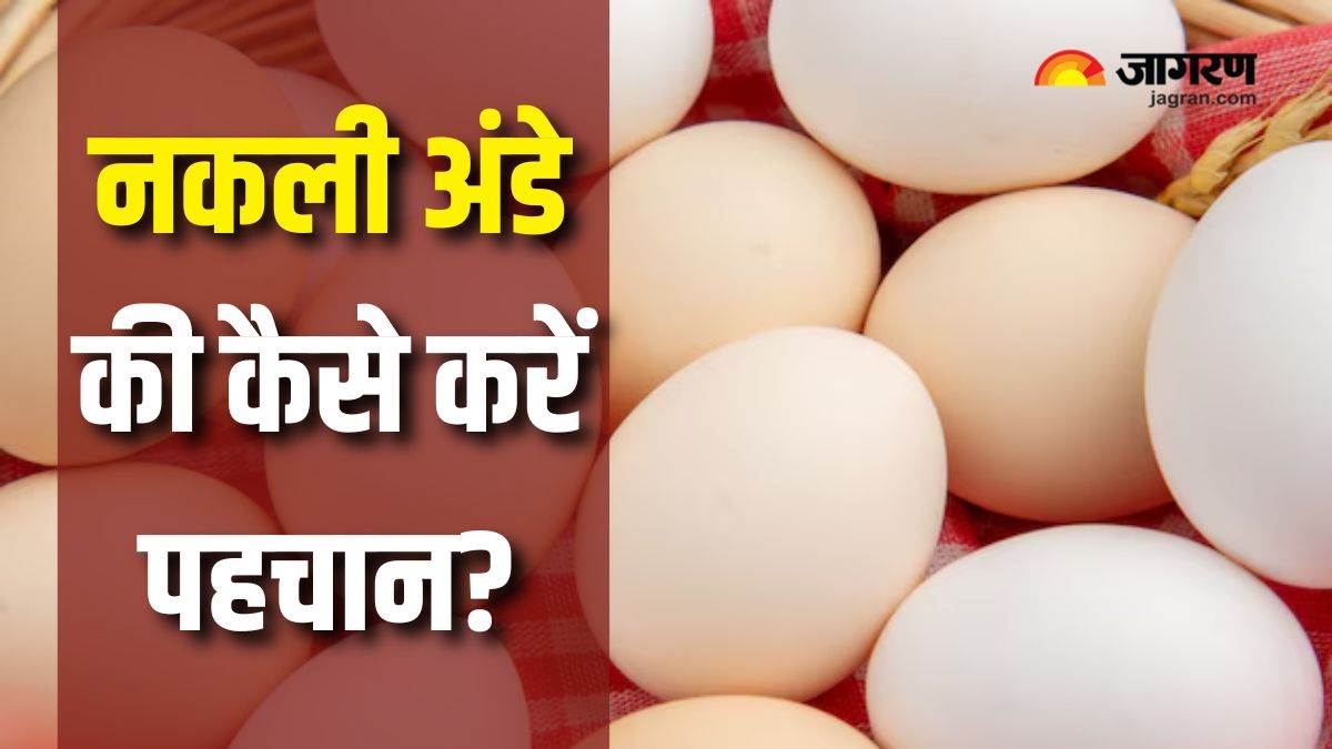tips to identify real or fake egg know here how to identify eggs and stay healthy