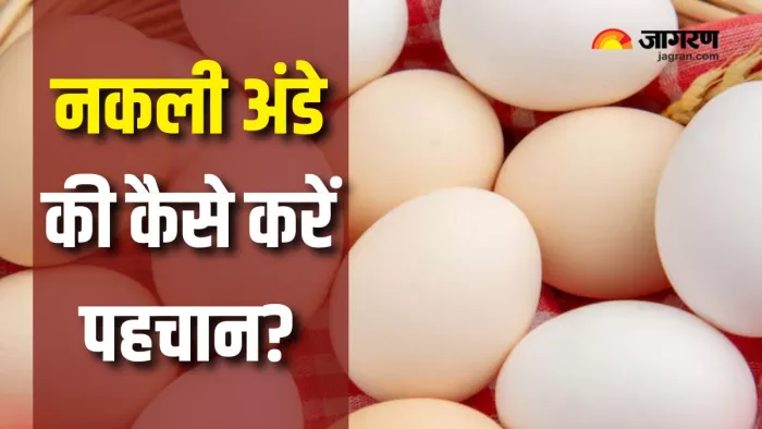 अंडा खाने वाले रहें सावधान! (Picture Courtesy: Freepik)