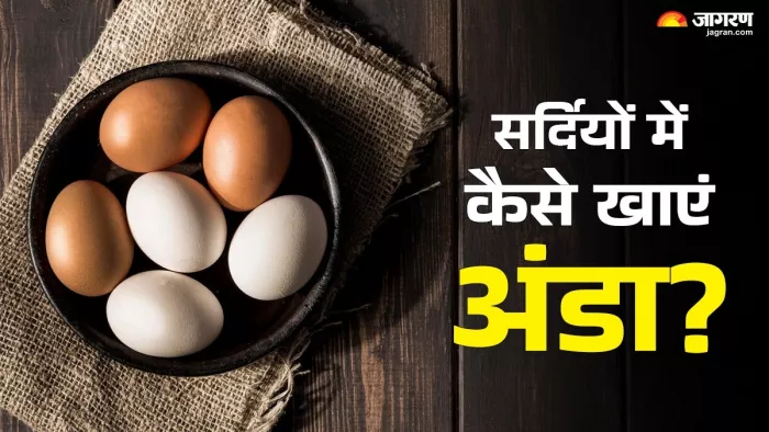 How To Eat Eggs In Winters: सर्दियों में किस तरह खाने चाहिए अंडे? (Image Source: Jagran)