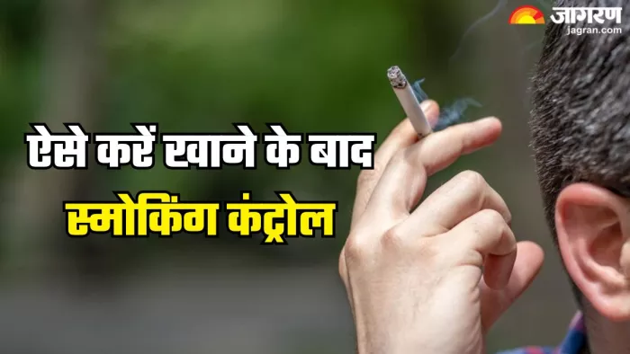 खाने के बाद क्यों होती है स्मोक की क्रेविंग (Picture Credit- Freepik)