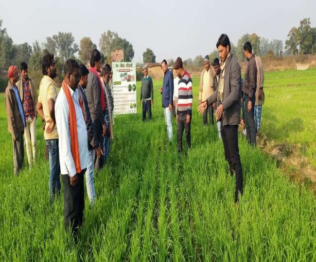 gaya five villages in kaimurs adhara block were adopted by krishi vigyan kendra farmers will be made models by training