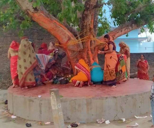 जानें, हिंदू धर्म में क्यों करते हैं पीपल के पेड़ की पूजा