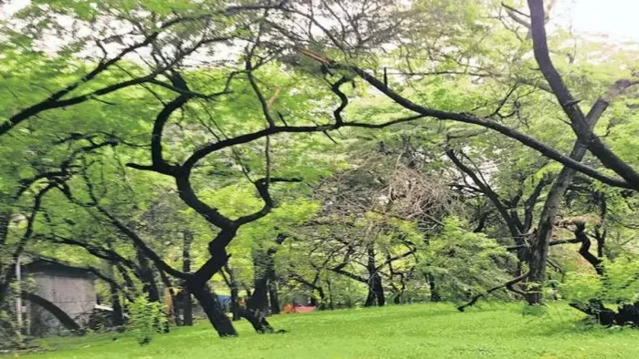 वन विभाग ने की रक्षा मंत्रालय पर कार्रवाई की सिफारिश।