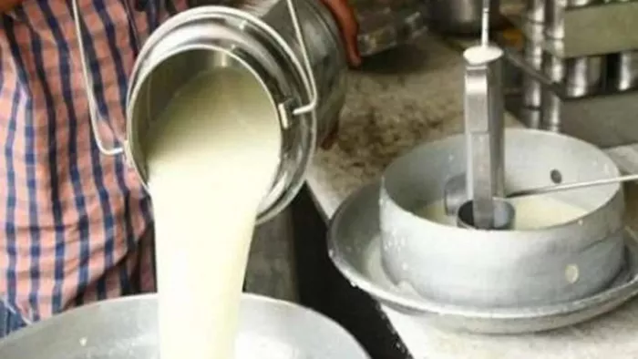 Milk adulteration false report in media (Jagran File Photo)