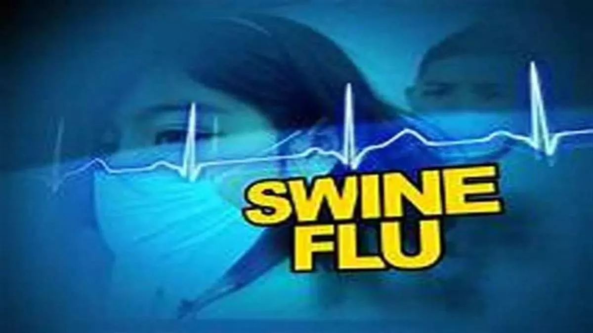 Haryana News: हिसार में लगातार बढ़ रहे स्वाइन फ्लू के मरीज, दो नए मामले सामने आने मचा हड़कंप; अस्पताल में बढ़ रहे सांस के मरीज