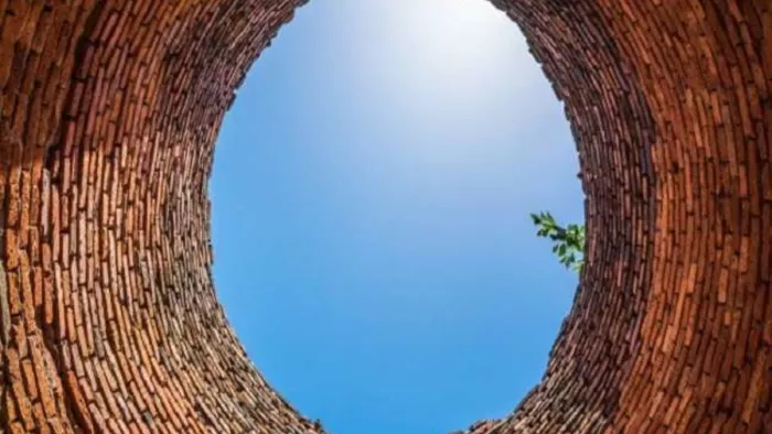 नातिन को गोदी में उठाकर भागी जा रही थी दादी, रास्ते में कुआं देखते ही रूक गई और फिर...