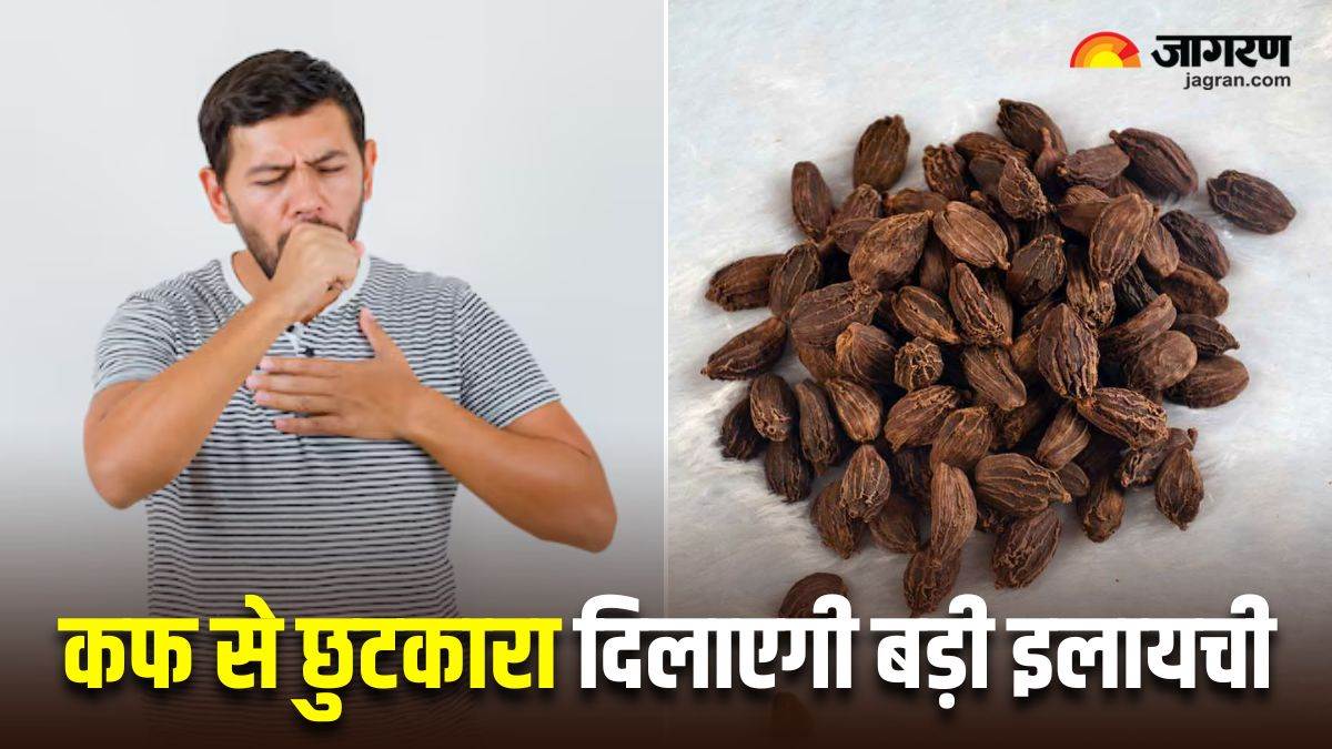 https://www.jagranimages.com/images/newimg/20012025/20_01_2025-black_cardamom_for_cough_23869677.jpg